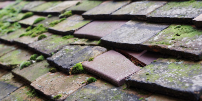 Llanarthne roof repair costs
